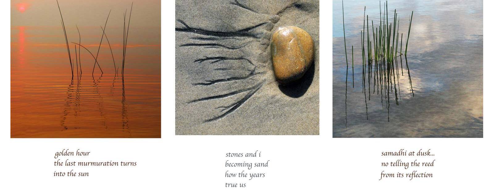 Hidden Glimmers: Weaving Contemplative Photography and Haiku